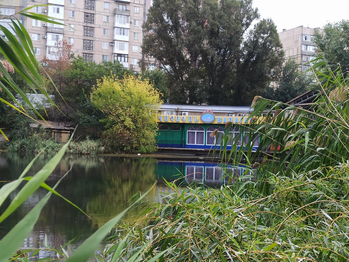 Берег пруда "Блоха". Здесь расположен какой-то ресторан. Я даже не знаю, работает он или нет.