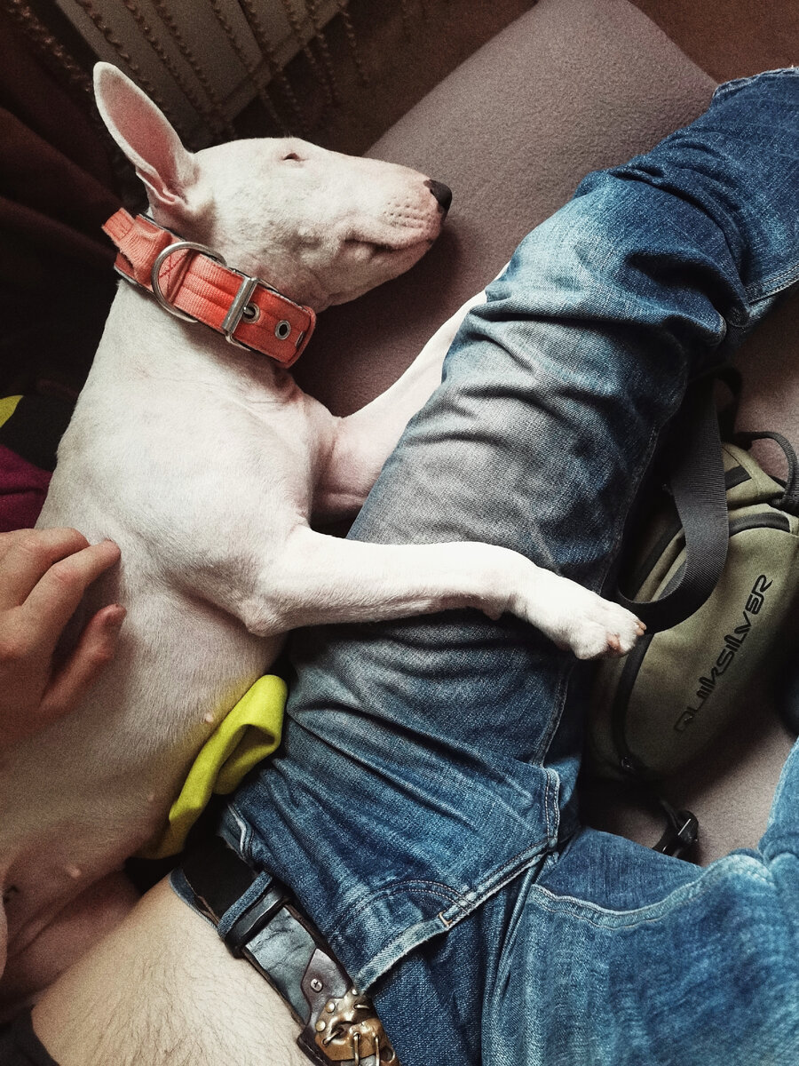 Фото из личного архива 