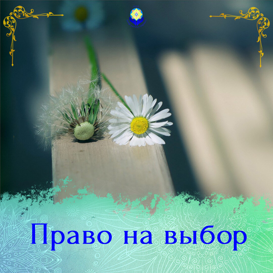 Право на выбор