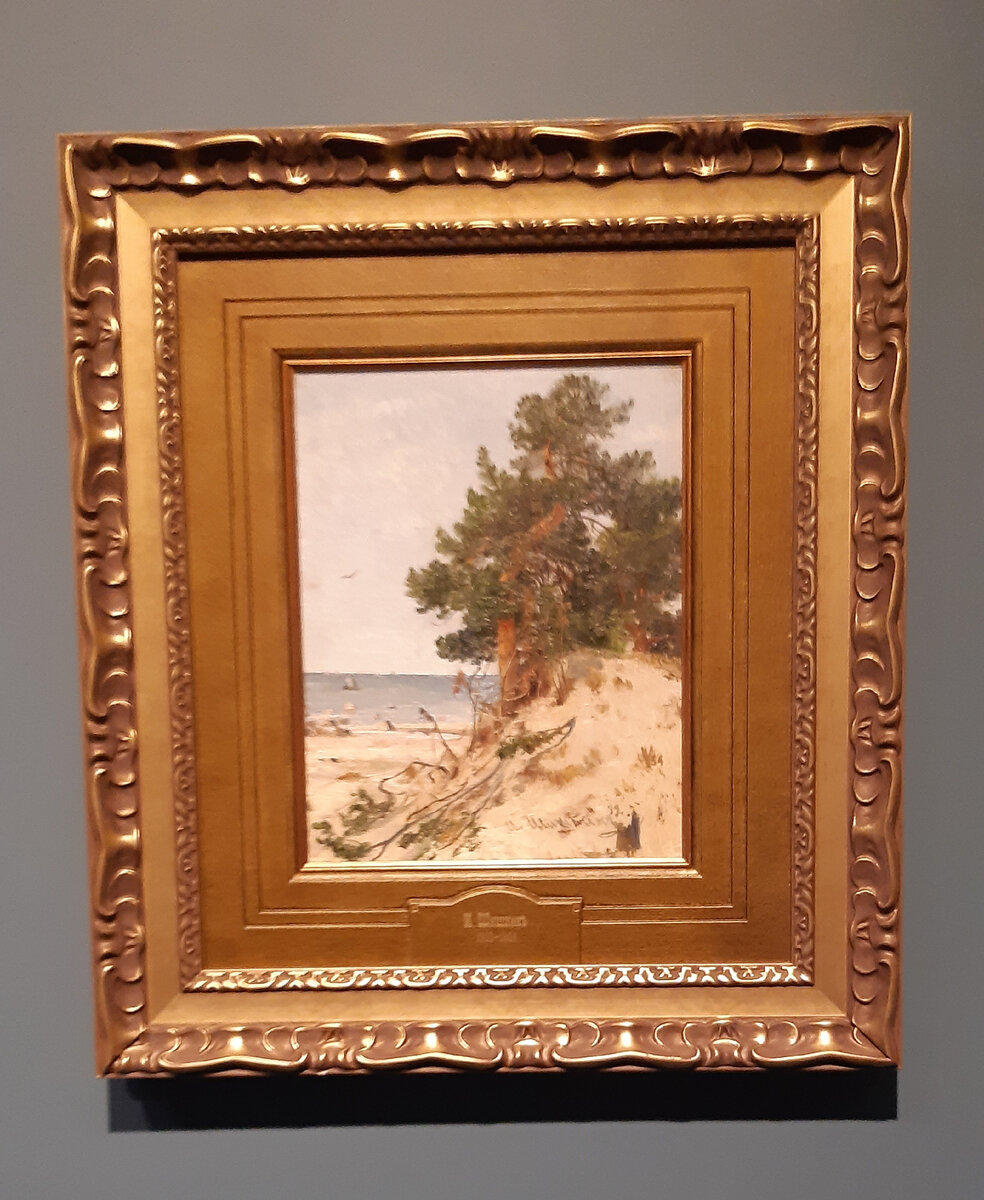 Шишкин И.И., 1889 год, Сосны на берегу залива