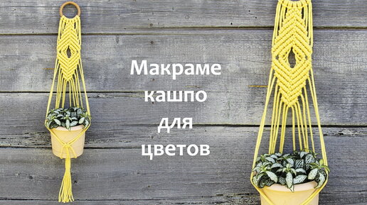 Как сделать кашпо своими руками для начинающих: 8 мастер-классов с фото и видео