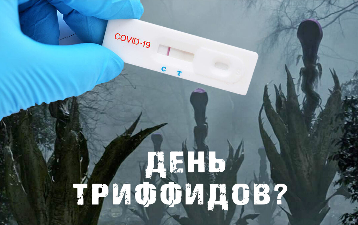 Коллаж автора. 