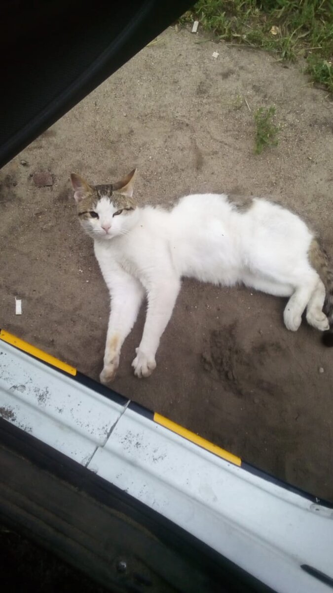 Фото от господина И. ☺