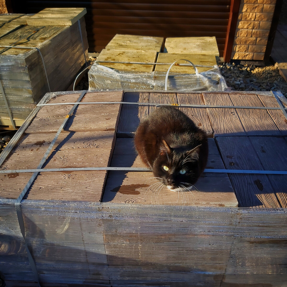 Мой Козляк и недострой.