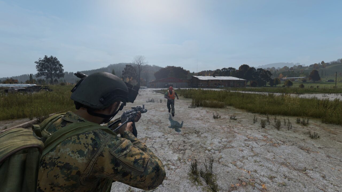 Взято с https://mmogamesbase.ru/articles/polnyj-gajd-po-oruzhiyu-v-dayz.html