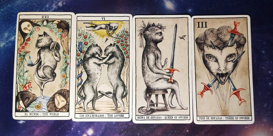 Стар кэт таро. Soul Cats Tarot. Влюбленные белые коты Таро. Карты Таро кошки Казань.