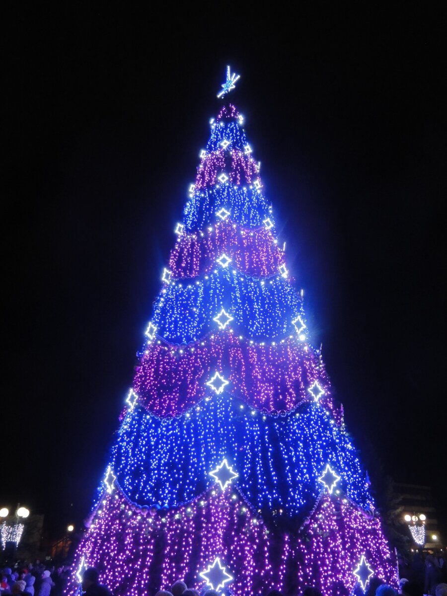 Фото из личного архива.   Ёлка из Владимира.