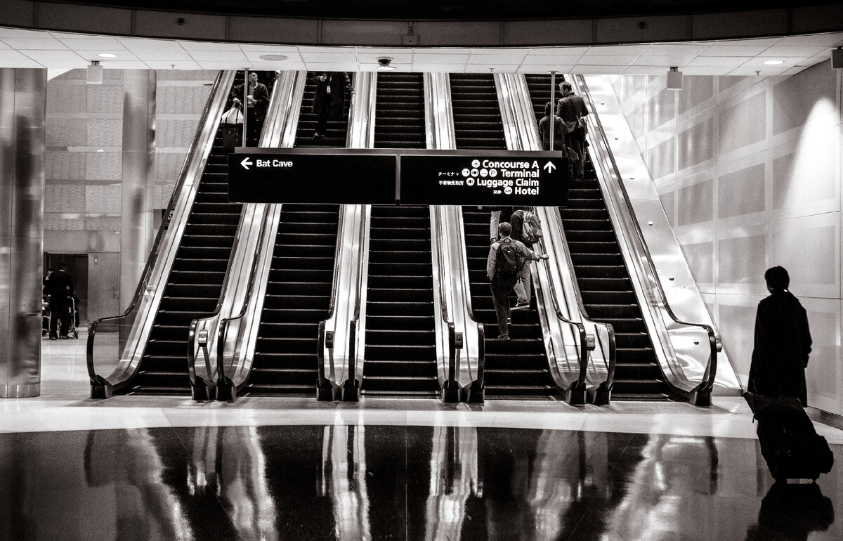 Фото любезно предоставлено Gratisography