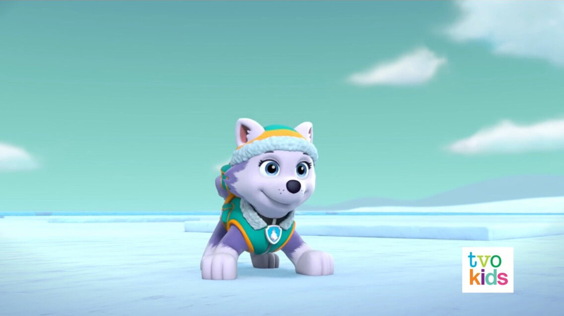 Paw Patrol Everest