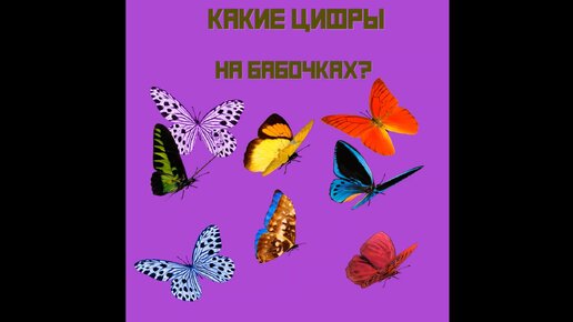 Какие цифры на бабочках?