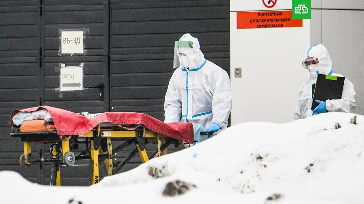    Фото: РИА Новости © 2022, Илья Питалев