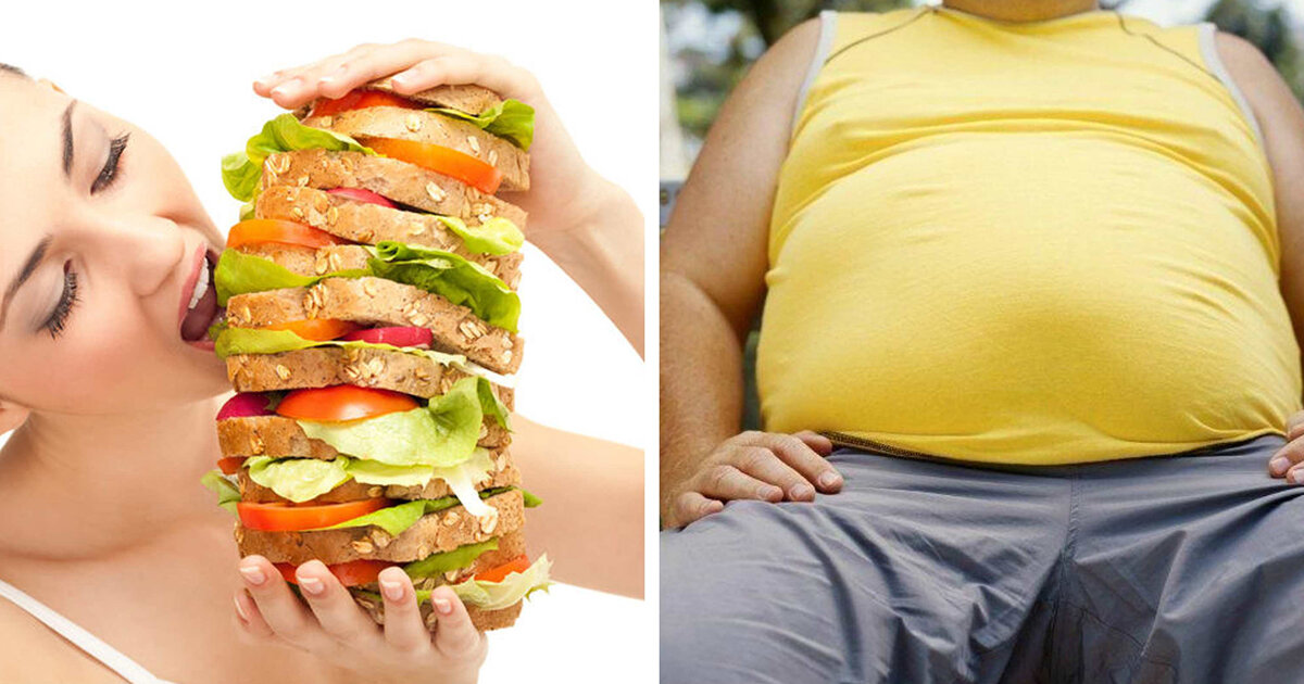 Почему человек толстеет. Публикация № #59