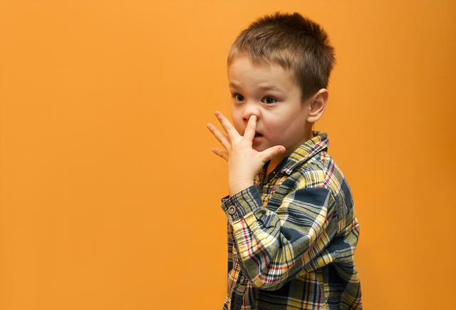 Изображение на обложке: shutterstock / leedsn 