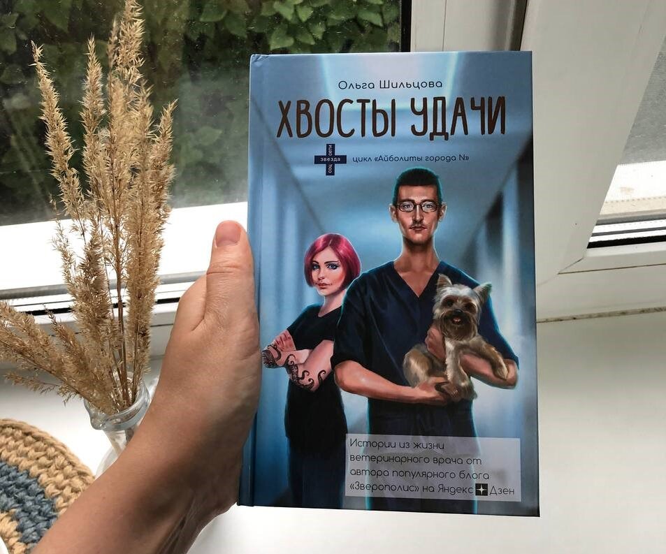 Вторая книга из цикла "Айболиты города N"