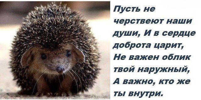 источник яндекс картинки