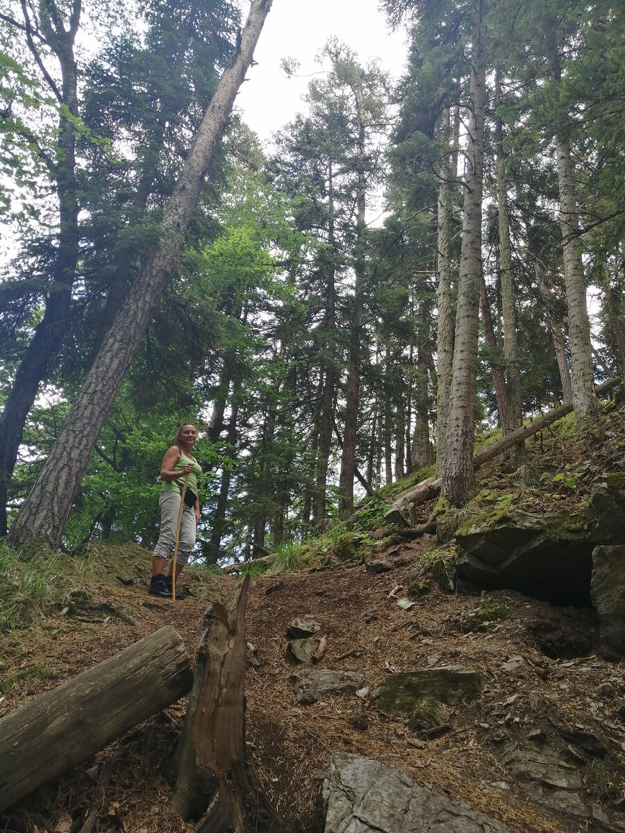 Если вы оказались в лесу и не знаете, куда идти — идите домой | Мир ...