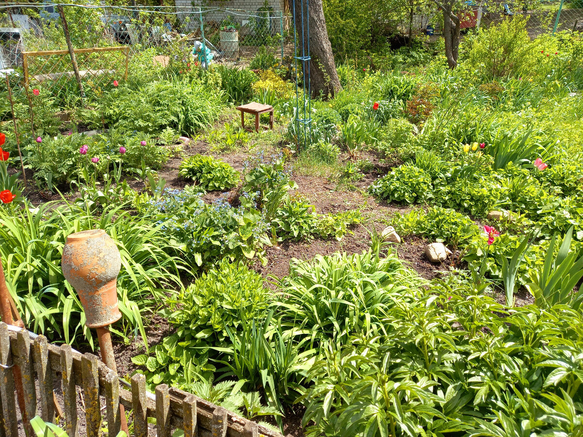 Фото автора 