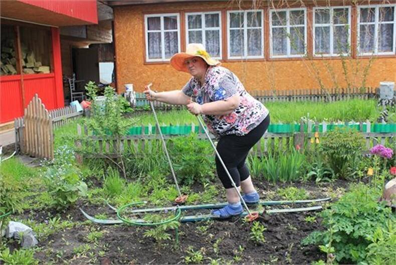 Картинки дача сад огород прикольные