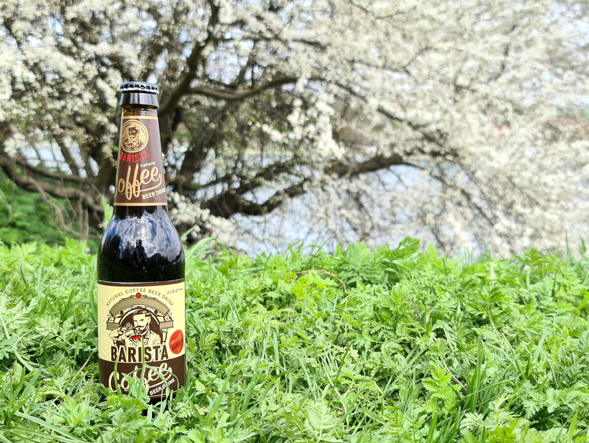 Barista, фото автора