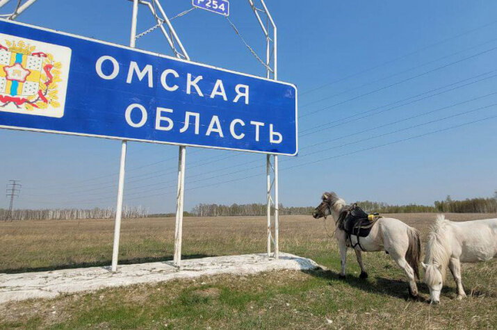 Якутские лошади в Омской области. Фото: Дугуйдан Винокуров/Telegram-канал "Всадники севера"