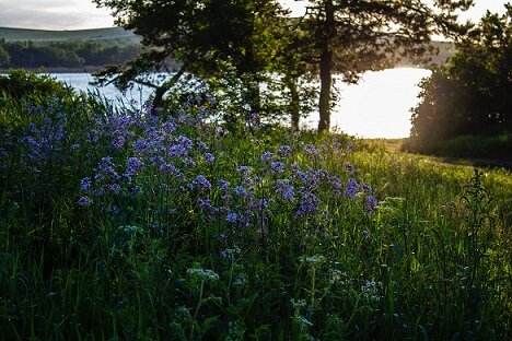 Изображение из открытого источника. Unsplash