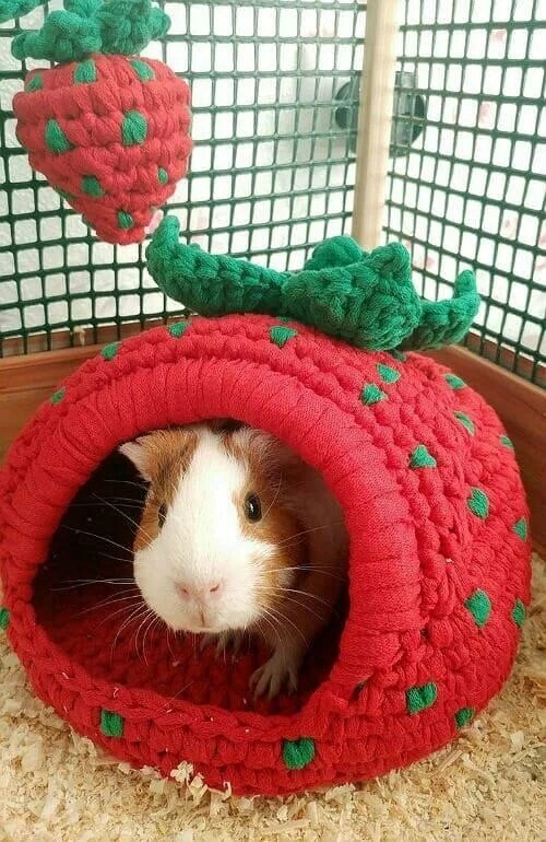 Фото из свободных источников 