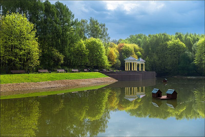 Бирюлевский дендропарк пикник