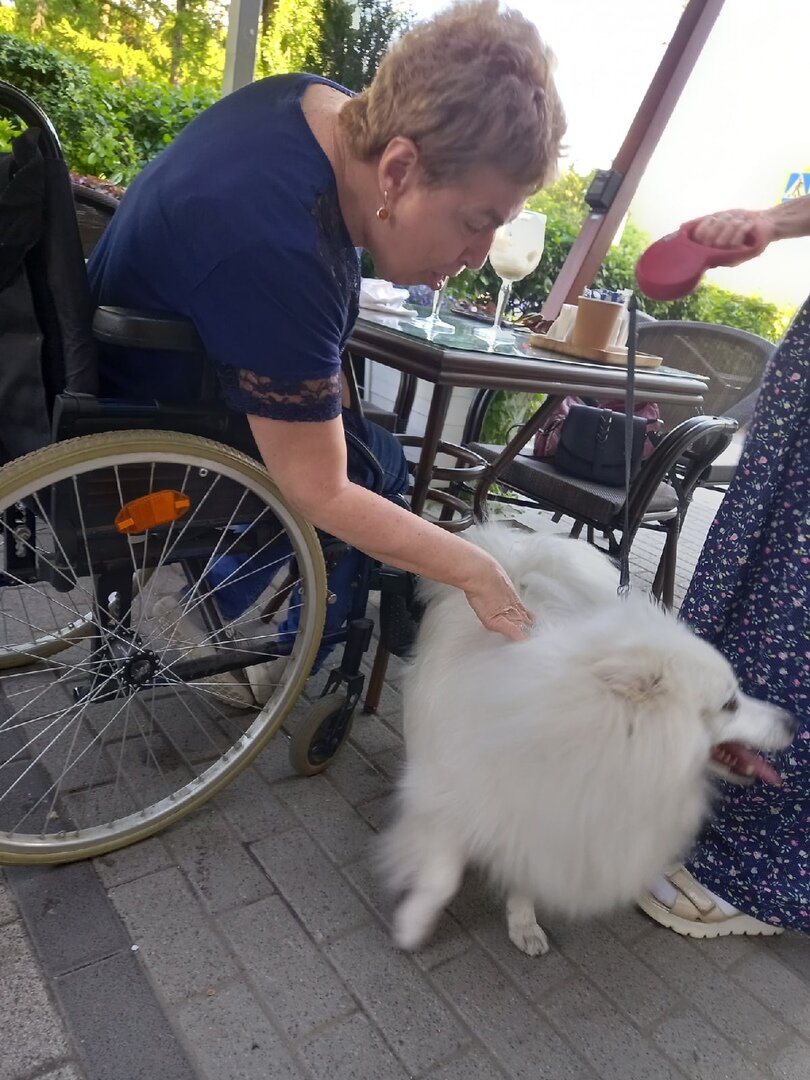 дзен марголайф. татьяна куржупова болхов. дзен марголайф. камни дзен. дзен марголайф.