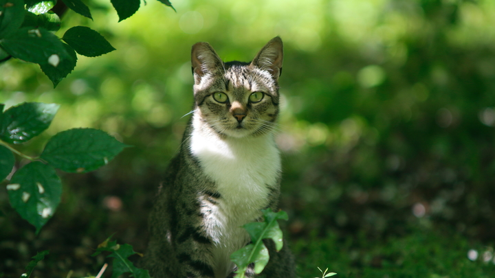 ФОТО: MAKSIM KONSTANTINOV/GLOBAL LOOK PRESS