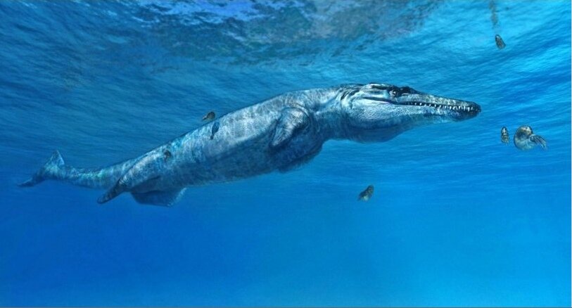 Метриоринхиды (Metriorhynchidae) – морские крокодилы с рыбьими хвостами