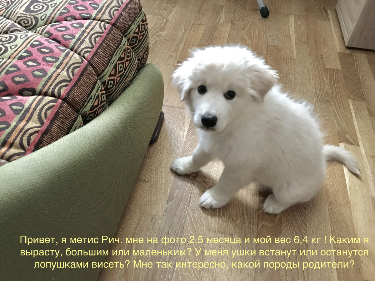 Фото и текст мои