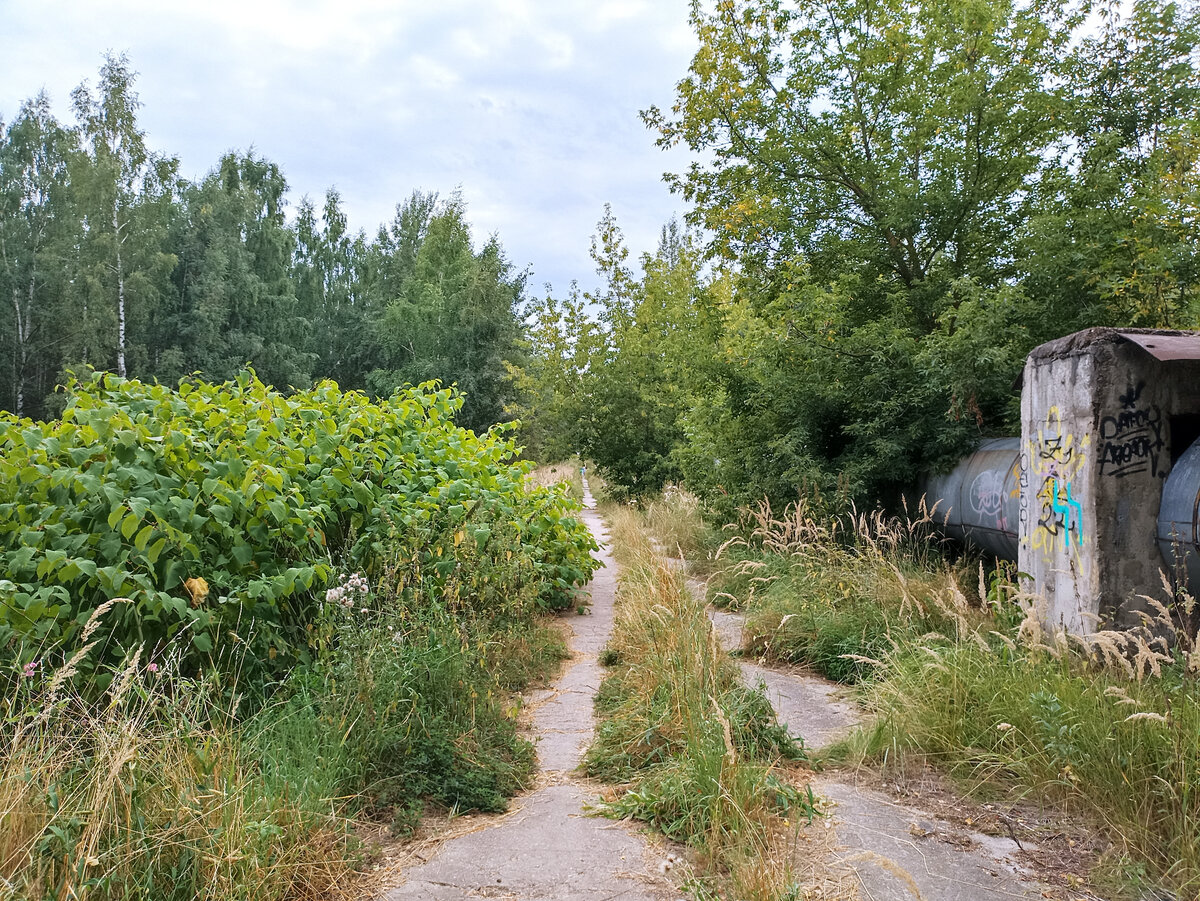 Путь к долине реки Язвенки (фото автора)