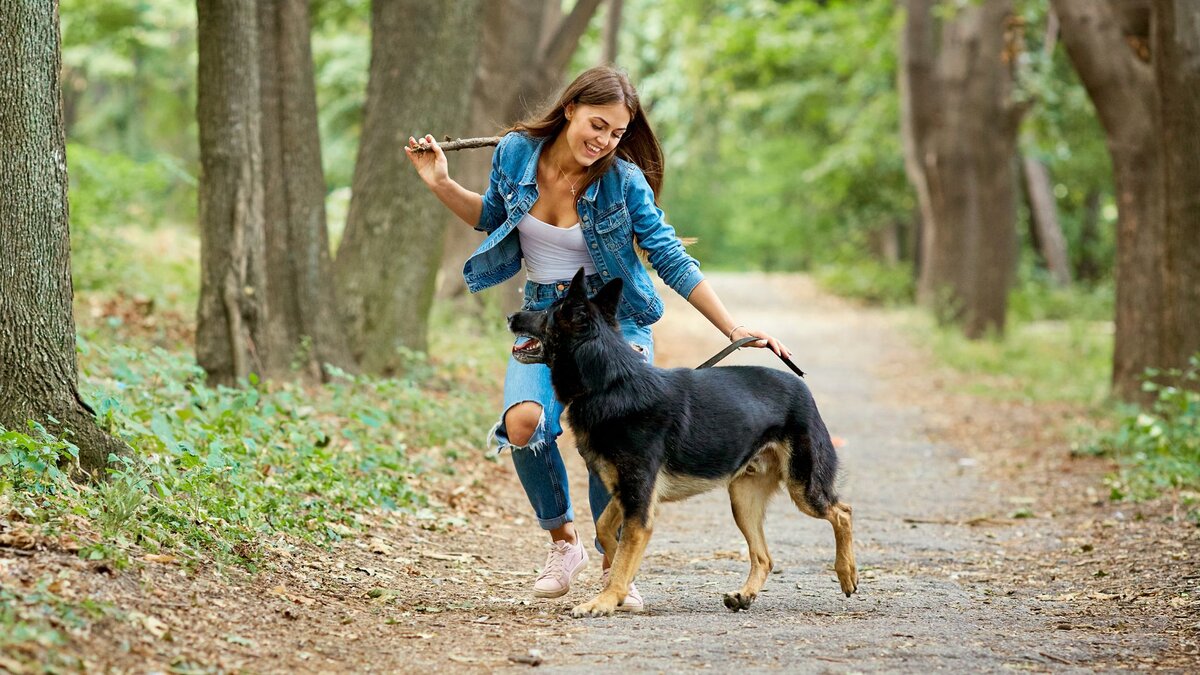 Если вы будете следовать этому, собака вас полюбит еще больше | Dog Breeds  | Дзен