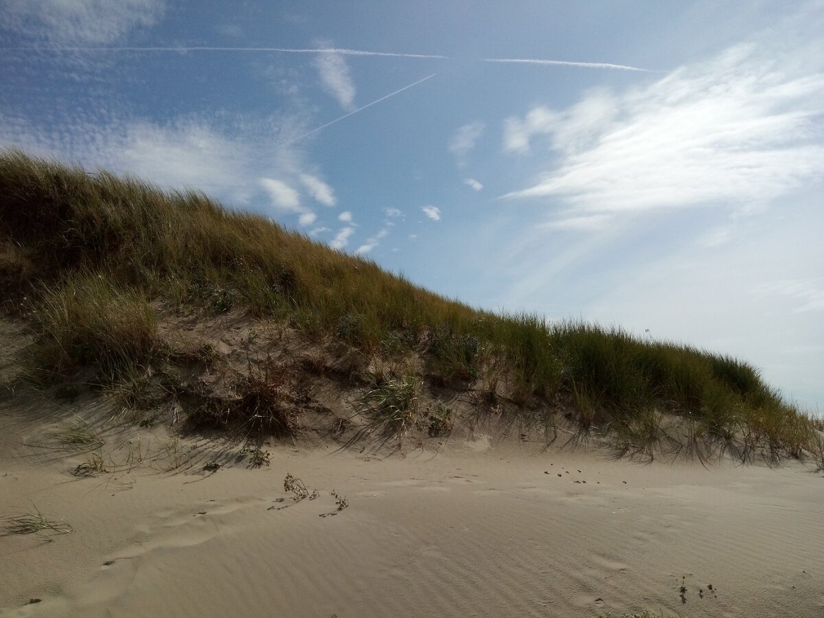 Bergen aan Zee