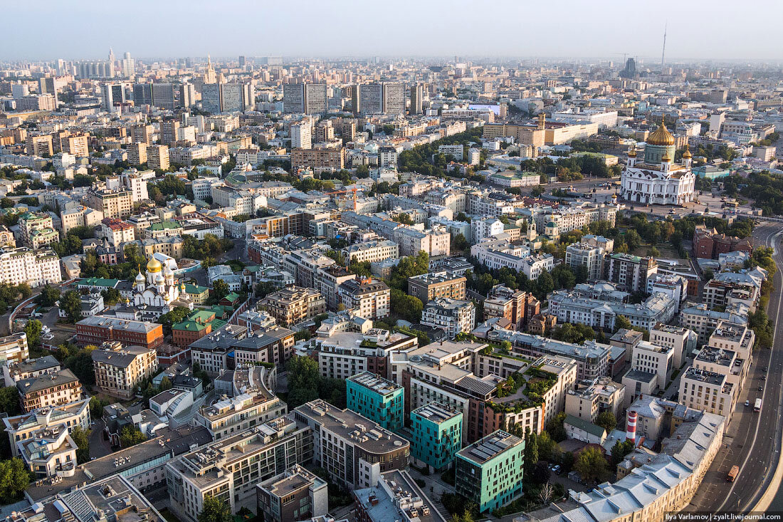 хамовники в москве