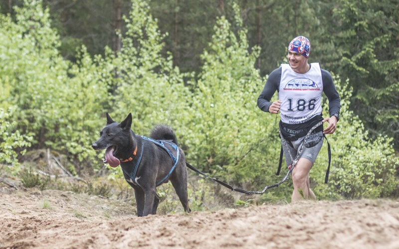 Партнером по бегу может стать не только породистая собака. На фото: метис Лаки и его владелец Владимир на международной гонке «Белые ночи»