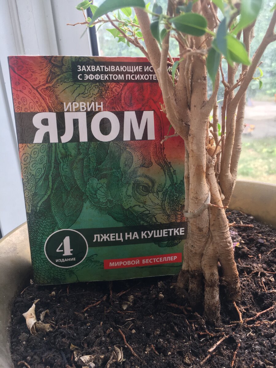 Ирвин ялом лжец. Лжец на кушетке читать полностью. Ирвин ялом книга книги ирвина ялома. Лжец на кушетке книга. Лжец на кушетке читать полностью.