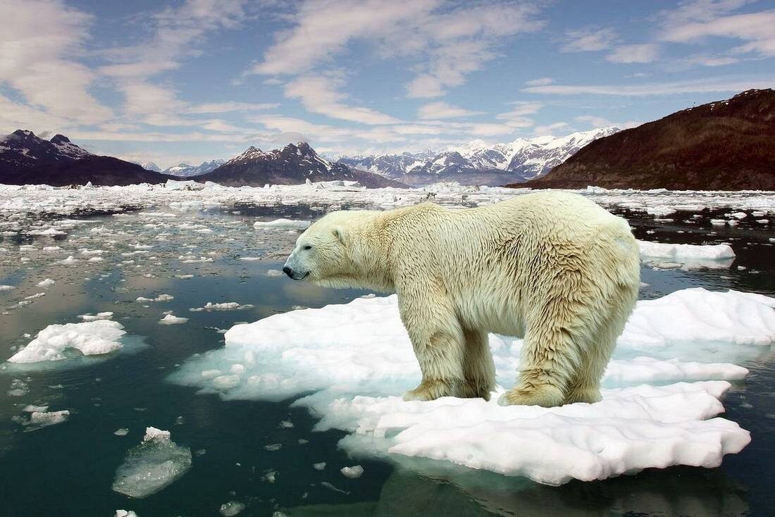 Источник: https://finobzor.ru