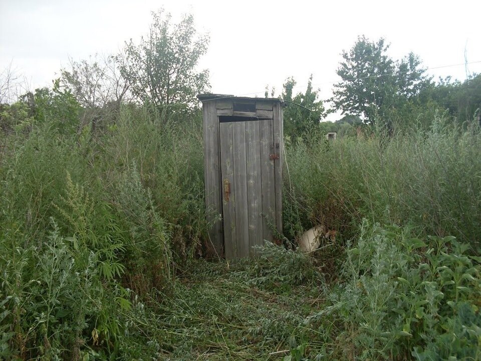 Яндекс.Картинки