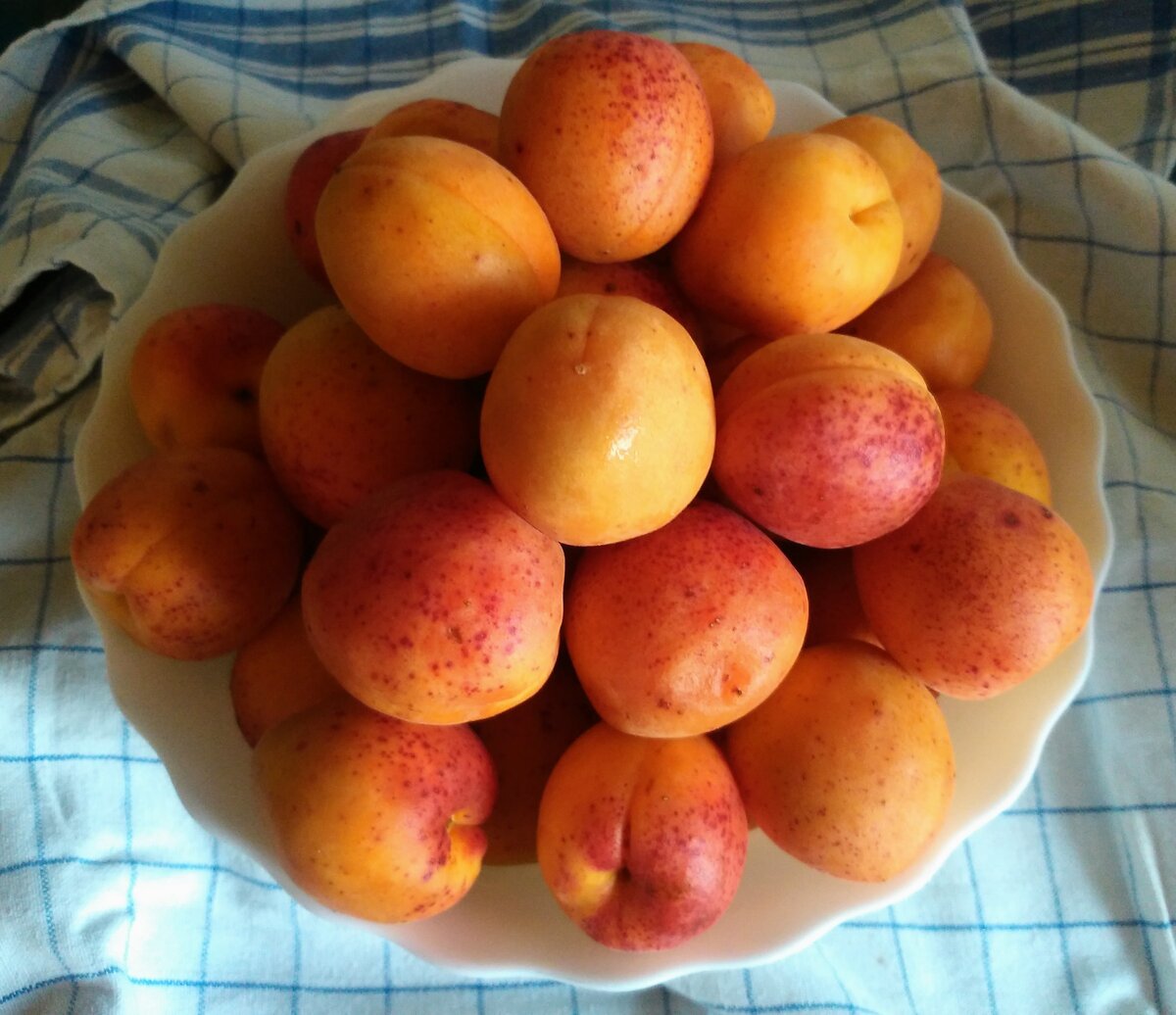Мне достались вот такие абрикосы, почти как персики