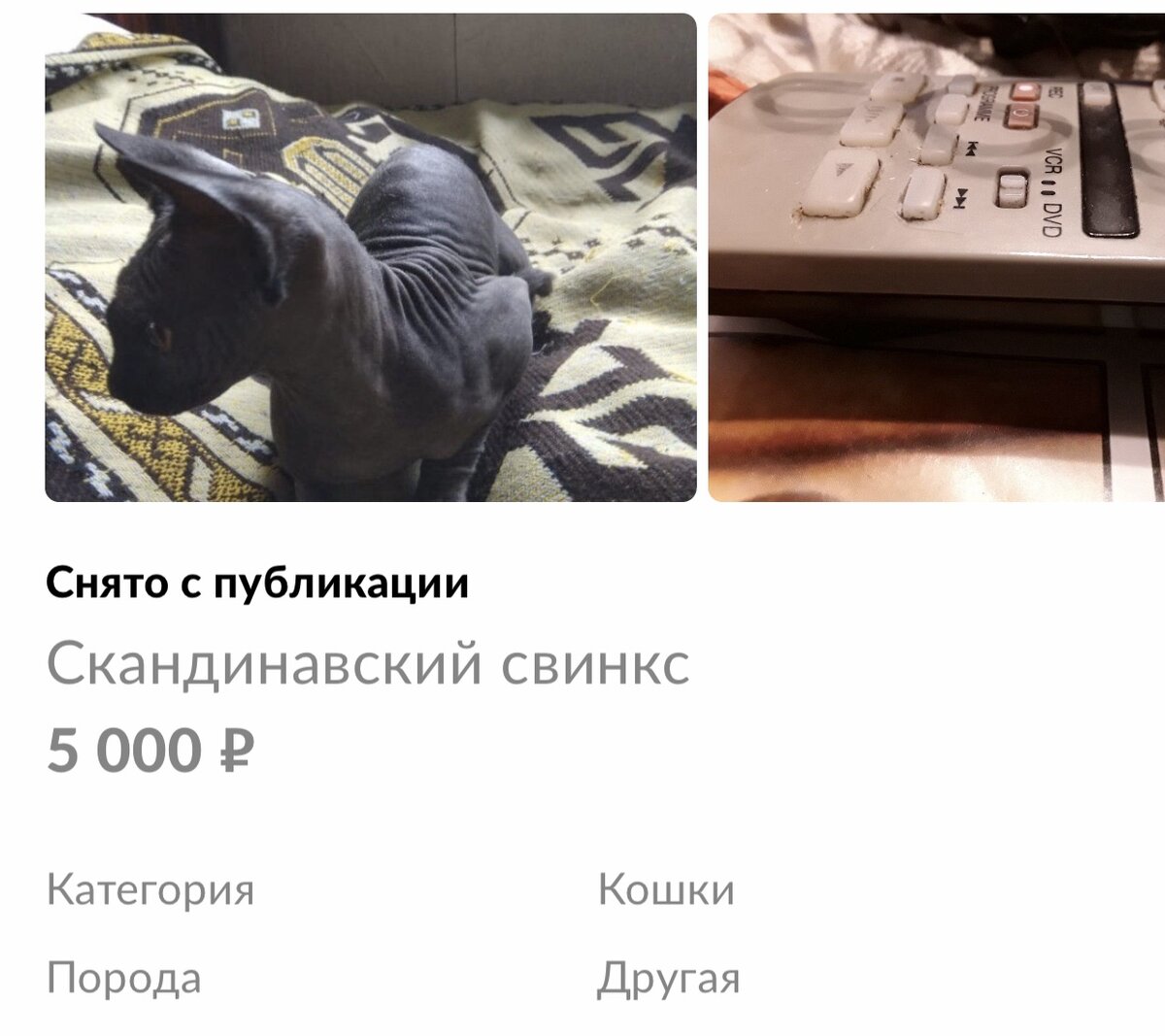 Знакомьтесь!