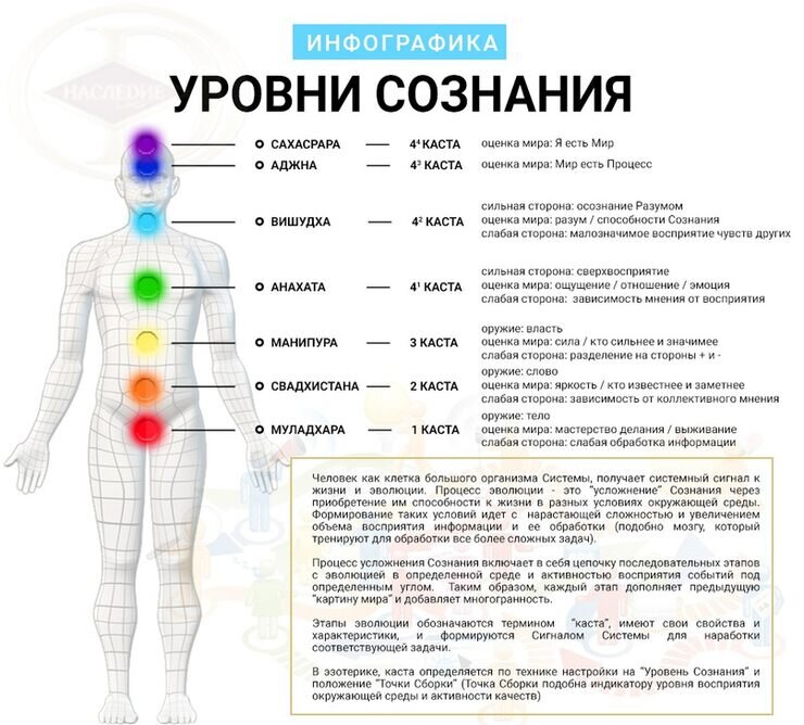 Схема вибраций человека