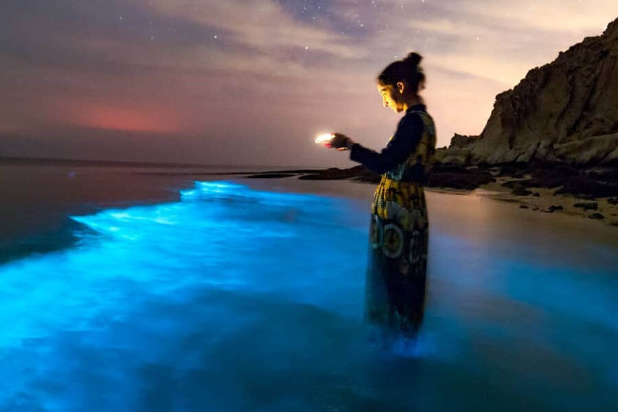 
Биолюминесценция — это биохимический процесс, благодаря которому в тёмное время суток вода в море начинает светиться. Учёные связывают это свечение с жизнедеятельностью некоторых водных бактерий.