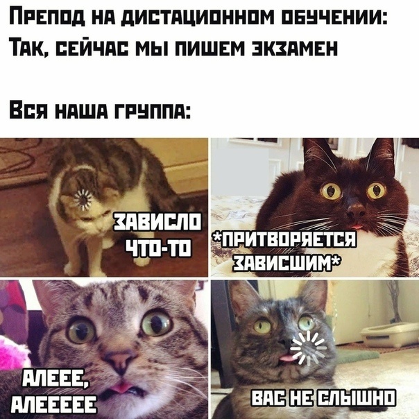 Изображение взято из открытых источников