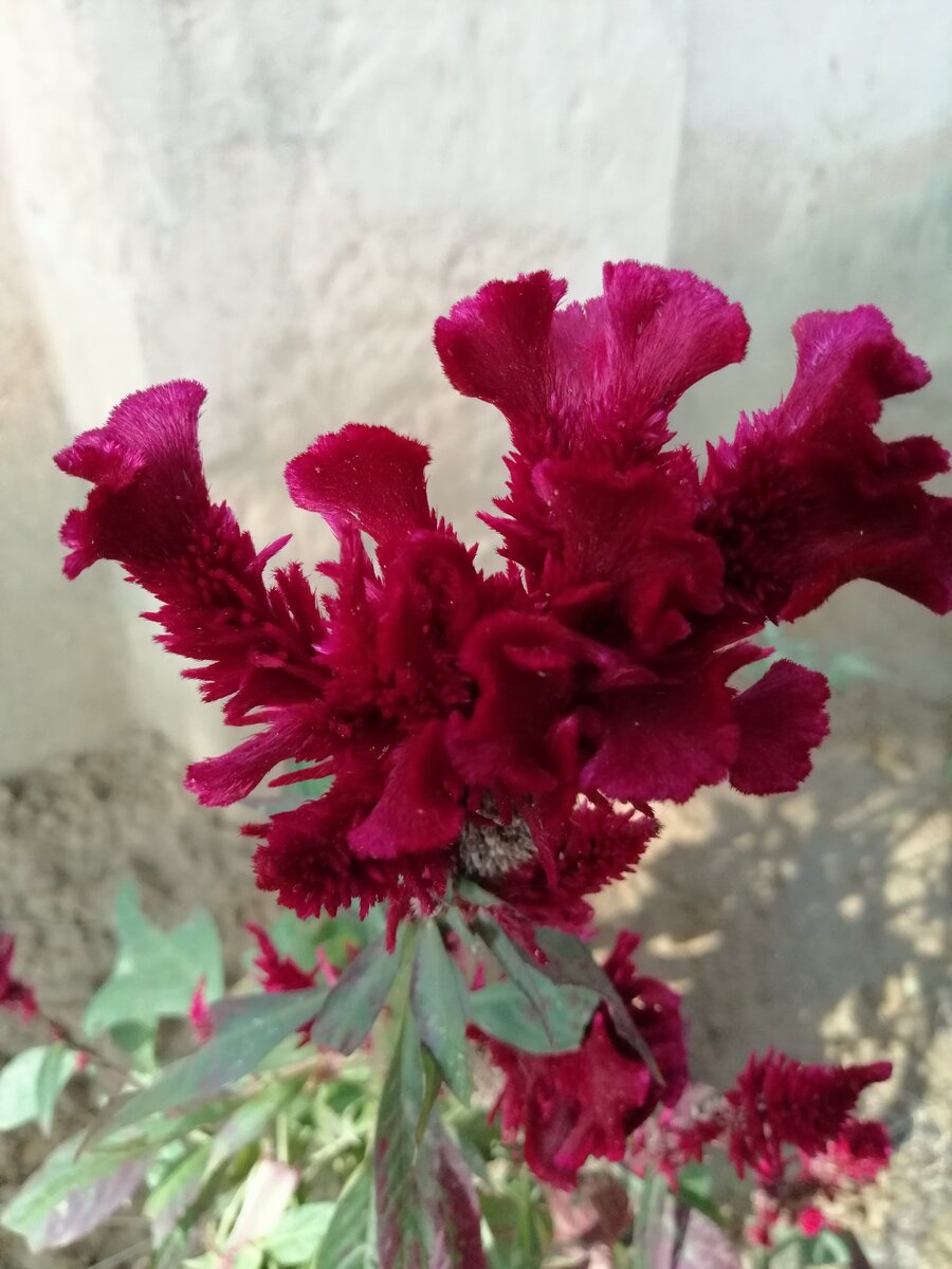 Создавай новую форму 