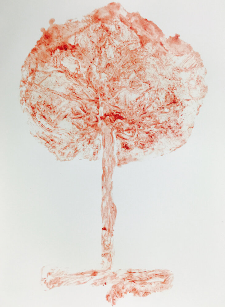 Отпечаток с плацентой