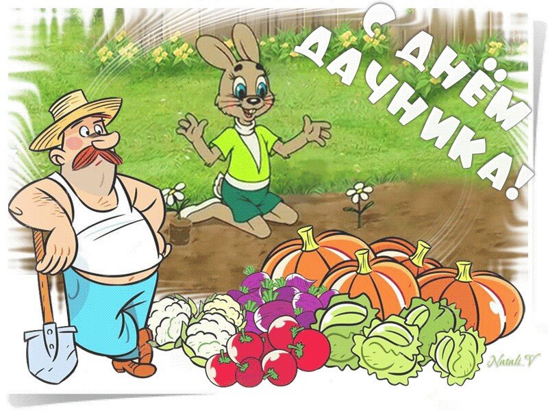 Истночник яндекс картинки