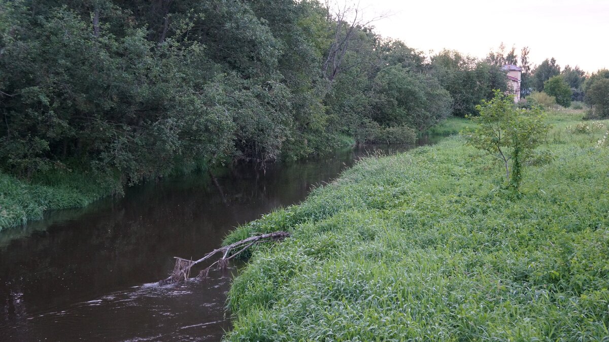 Вверх по течению