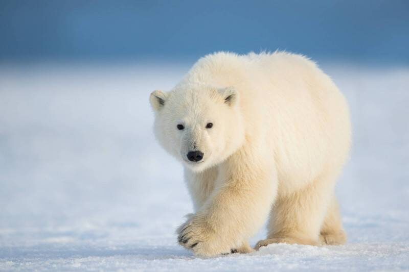 Фото: goodfon.ru