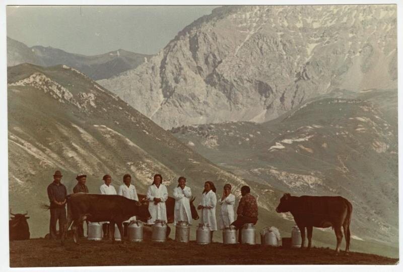  Доярки
Дмитрий Бальтерманц, 1962 год, Киргизская ССР, МАММ/МДФ.